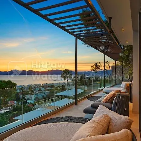 6 - Elisabeth Cannes